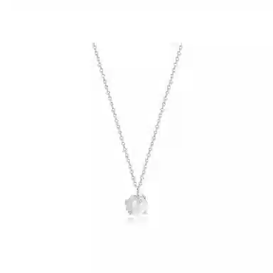 KING TAI SANG 999 ins