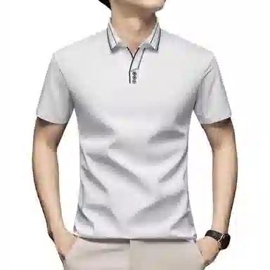 PIERRE CARDIN Polo