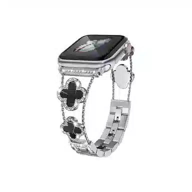 Akkerds applewatch