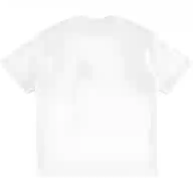 fdragon T