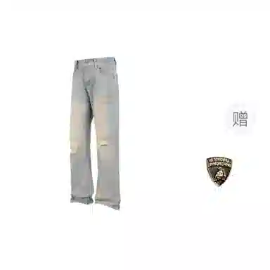 Automobili Lamborghini ins