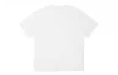 ICONS Lab ICS T