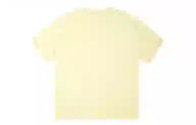 ICONS Lab ICS T