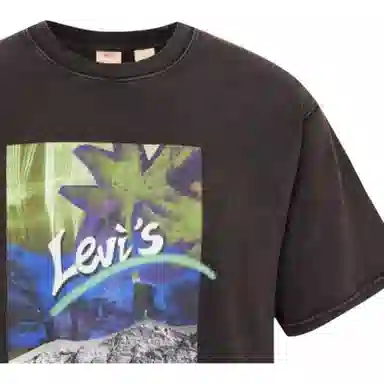 Levis T