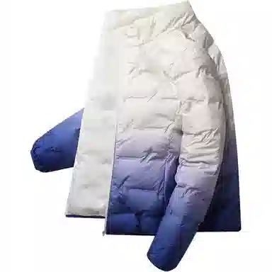 鸭鸭 立领短款休闲长袖羽绒服 男款