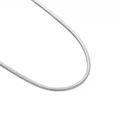 IDEAGEMER Snake Bone Chain Necklace