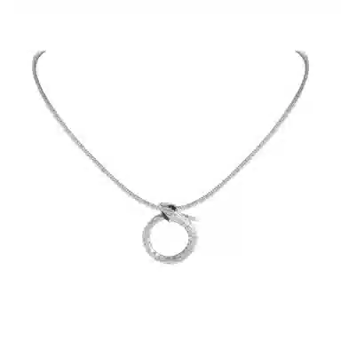 DREAM PARTY Silver Snake Series Necklace