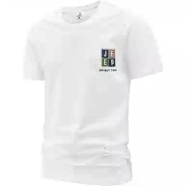 JEEP SPIRIT LogoT