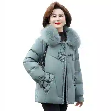 鸭鸭 休闲百搭时尚日常通勤长袖羽绒服 女款