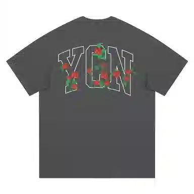 YICHEN logoinsT