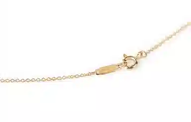 Tiffany & Co. Atlas Necklace