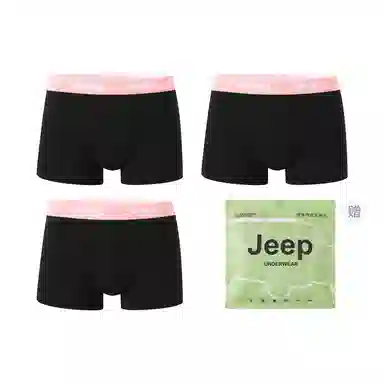Jeep 3