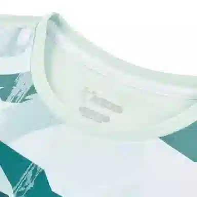 T SS25