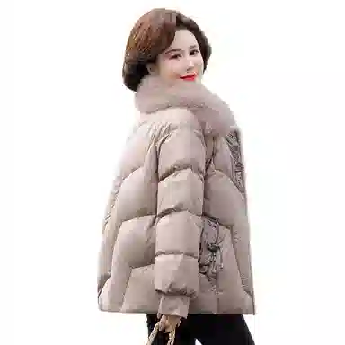 鸭鸭 休闲百搭时尚日常通勤长袖羽绒服 女款