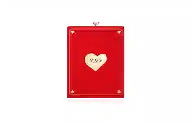 VIGG s925
