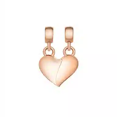 Daniel Wellington CHARMS DW