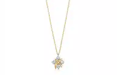 Tiffany & Co. Schlumberger Lynn Necklace