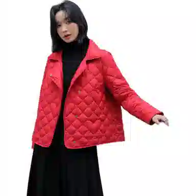 鸭鸭 纯色短款宽松立领长袖羽绒服 女款