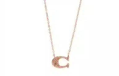 COACH Pave Signature Necklace