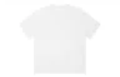 ICONS Lab ICS T