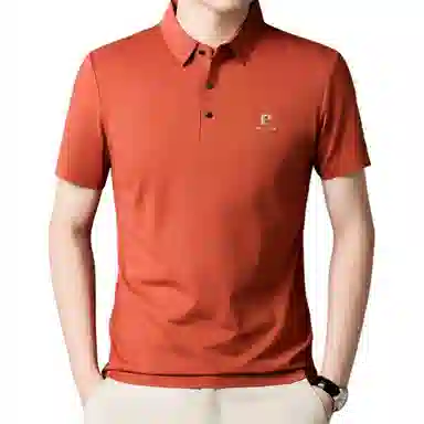 PIERRE CARDIN Polo