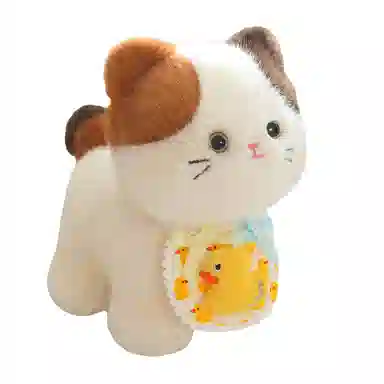20cm30cm