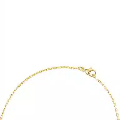 HERMES PopH