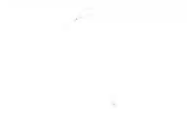 LOUIS VUITTON LV Star Blossom