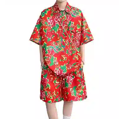 VPDP POLO