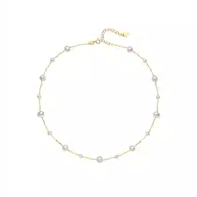 zoo jewel S925