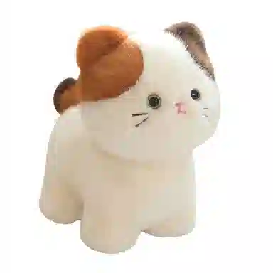 20cm30cm