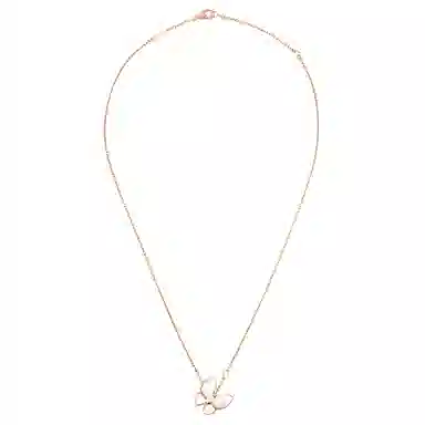 Van Cleef Arpels Two Butterfly