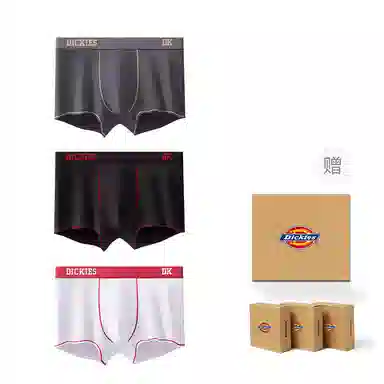 Dickies 3