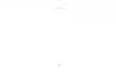 LOUIS VUITTON LV Star Blossom