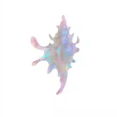 丹琴 贝壳海螺甜酷时尚个性设计感海洋鲨鱼后脑勺盘发人鱼 亚克力 发夹 女款