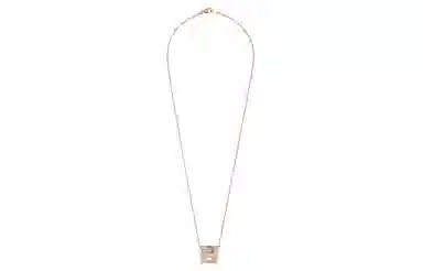 HERMES Cage Dh