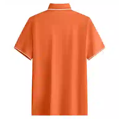 POLO ROYAL FAMILY Polo