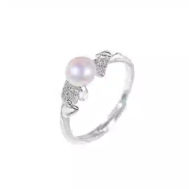LAA ins 925