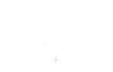 LOUIS VUITTON LV Star Blossom