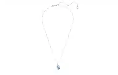 Swarovski Iconic Swan