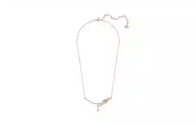 Swarovski Lifelong Heart