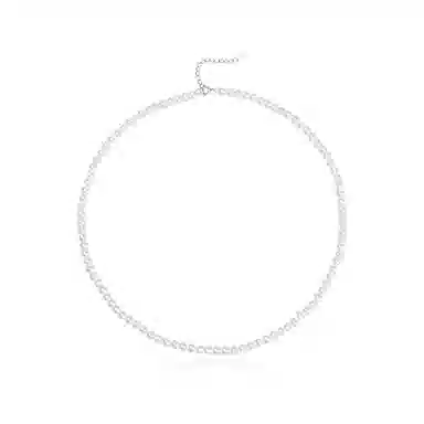 zoo jewel S925