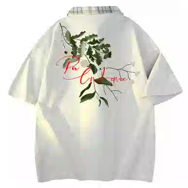 CTIDESTRAW tPOLOT