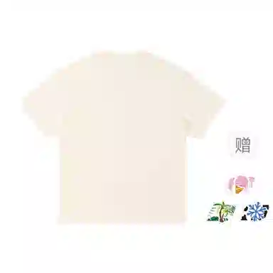 pallsupol T