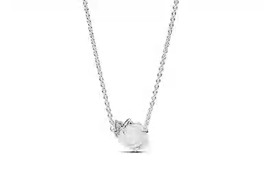 Pandora Rose Pendant Necklace