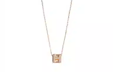 HERMES Cage Dh
