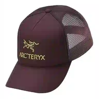 Arcteryx Logo Cap Black