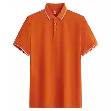 POLO ROYAL FAMILY Polo