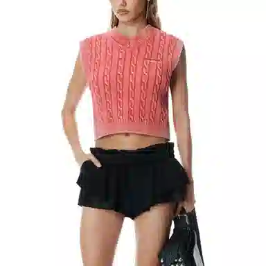 alexander wang SS25 V