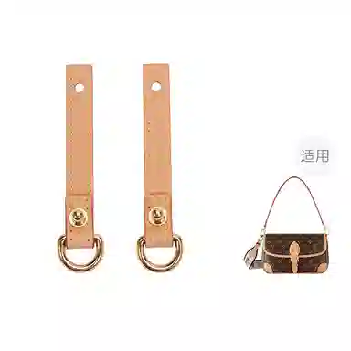 FANJI Lv Diane